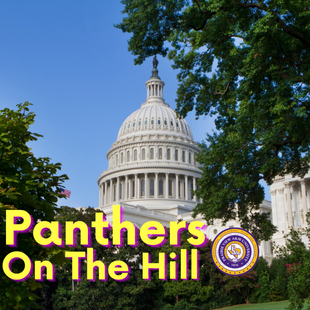 Panthers on the Hill